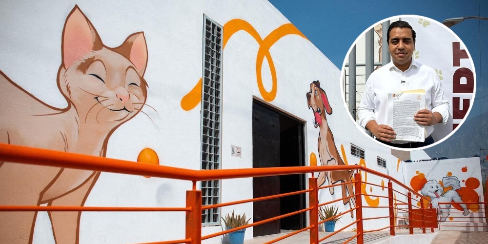 "Te informaron mal": Jesús Nava desmiente cifras sobre perritos y destaca rescates